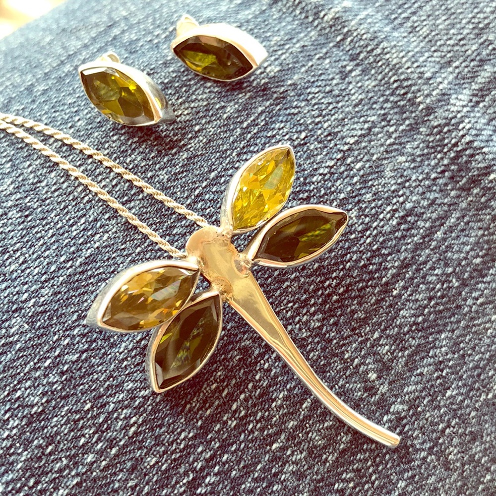 Dragonfly pendant and Earrings set